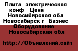 Плита  электрическая 6 конф › Цена ­ 54 900 - Новосибирская обл., Новосибирск г. Бизнес » Оборудование   . Новосибирская обл.